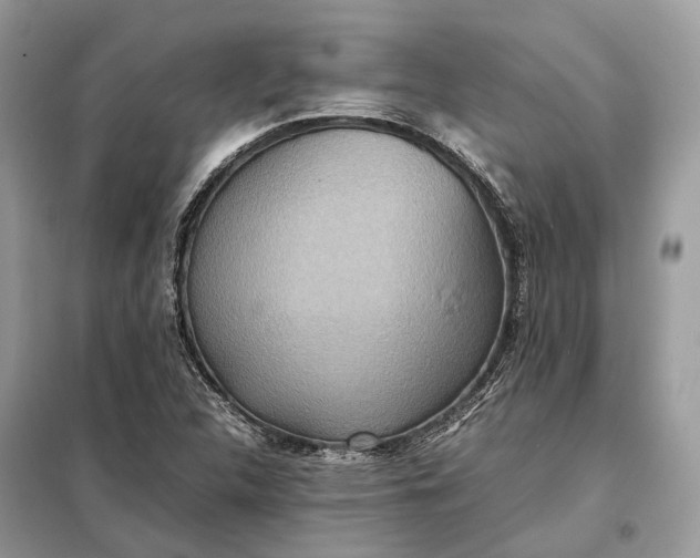 X0000099231312200805081548