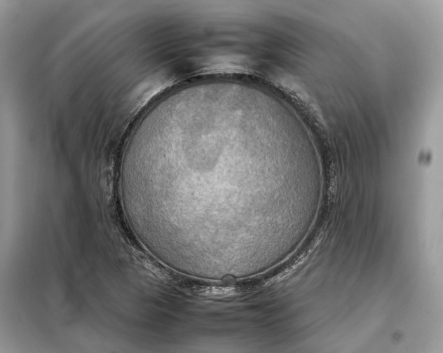 X0000099231313200805081548