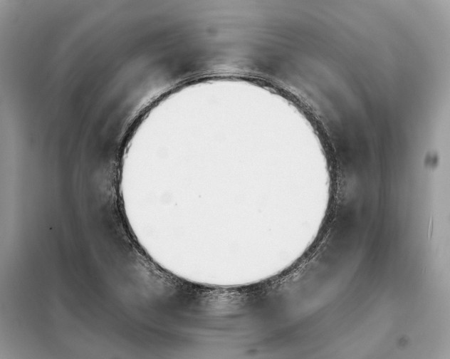 X0000099231314200805081548