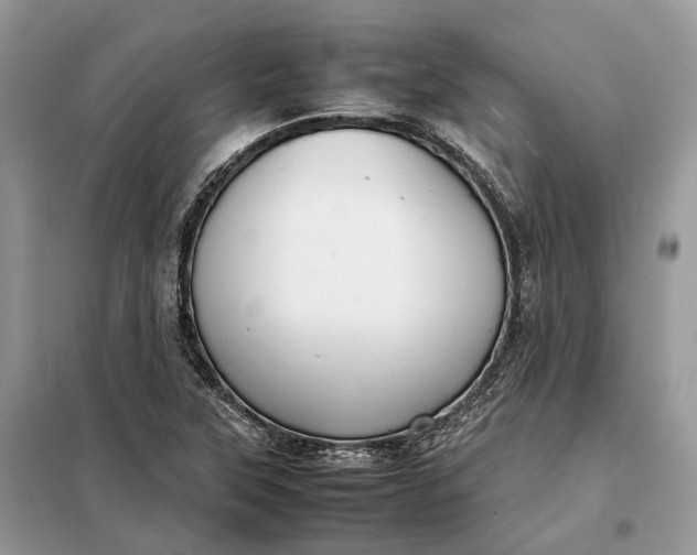 X0000099231315200805081548