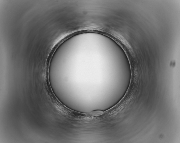 X0000099231316200805081548