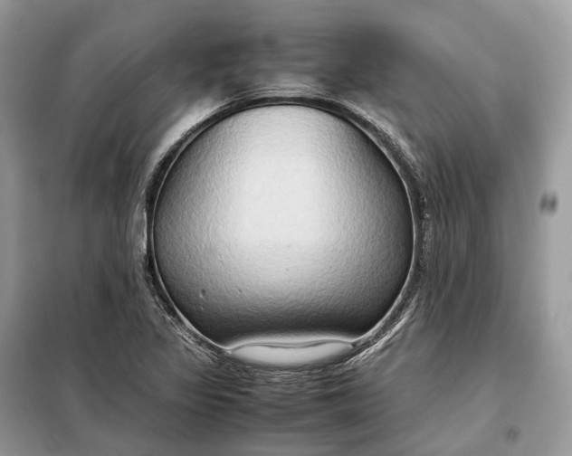 X0000099231317200805081548