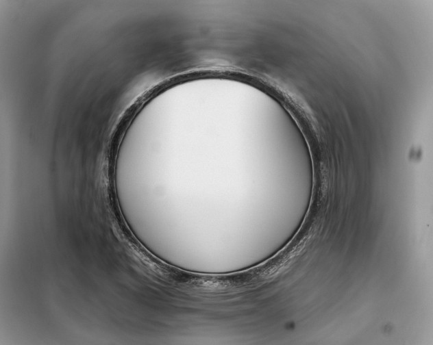 X0000099231318200805081548