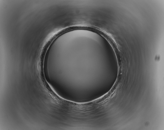 X0000099231319200805081548