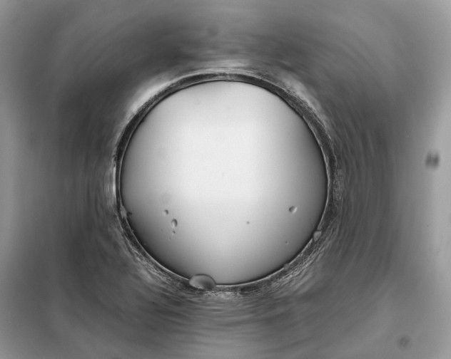 X0000099231320200805081548