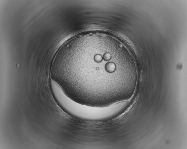 X0000099231321200805081548