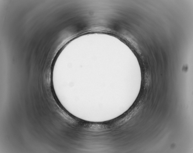 X0000099231322200805081548