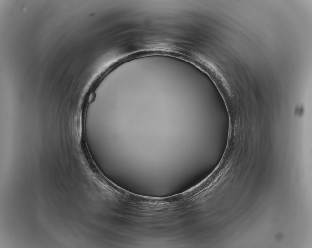 X0000099231323200805081548