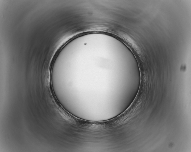 X0000099231324200805081548