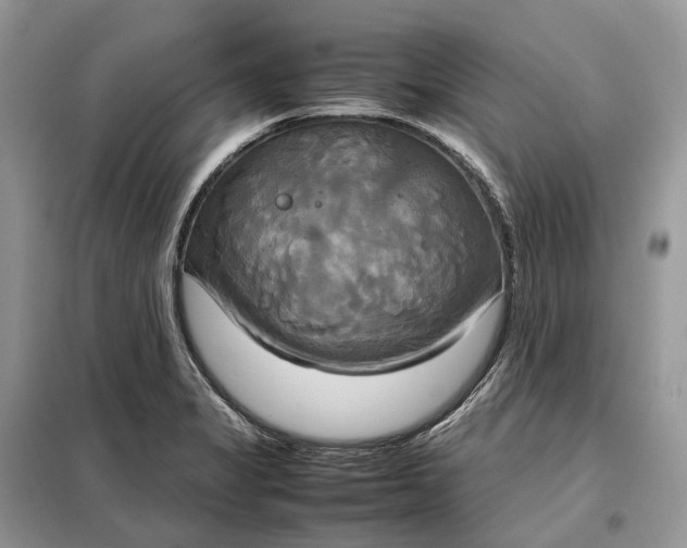 X0000099231325200805081548