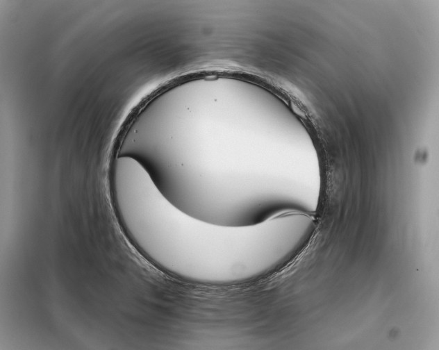 X0000099231326200805081548