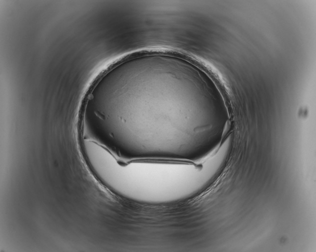 X0000099231327200805081548