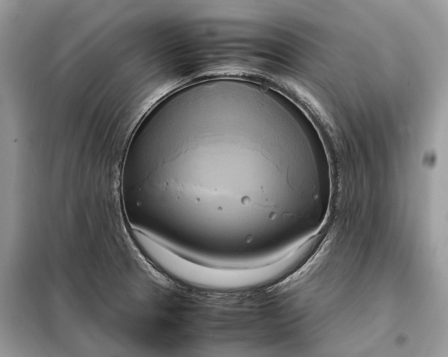 X0000099231329200805081548