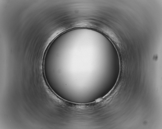 X0000099231330200805081548