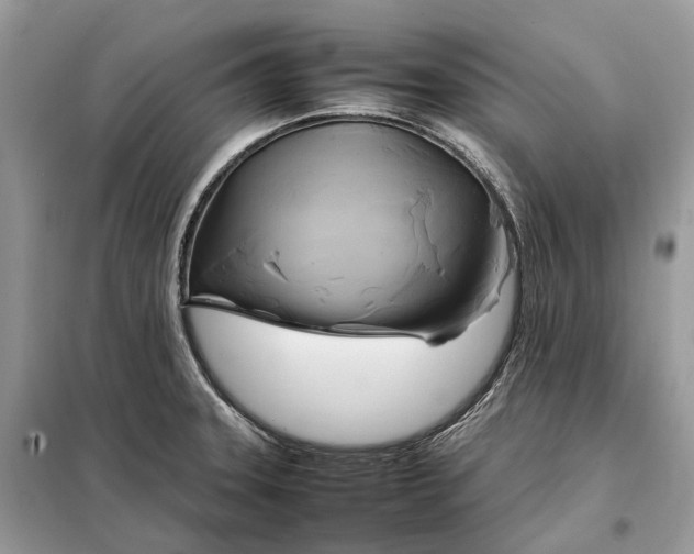 X0000099231331200805081548