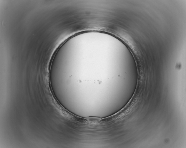 X0000099231332200805081548