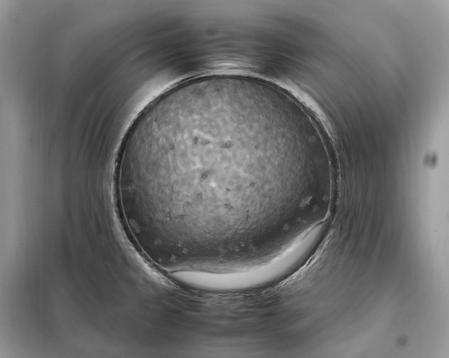 X0000099231333200805081548