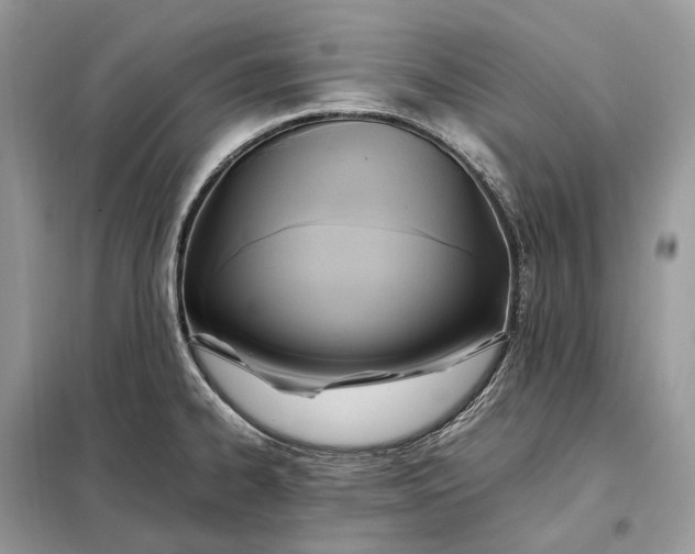 X0000099231334200805081548