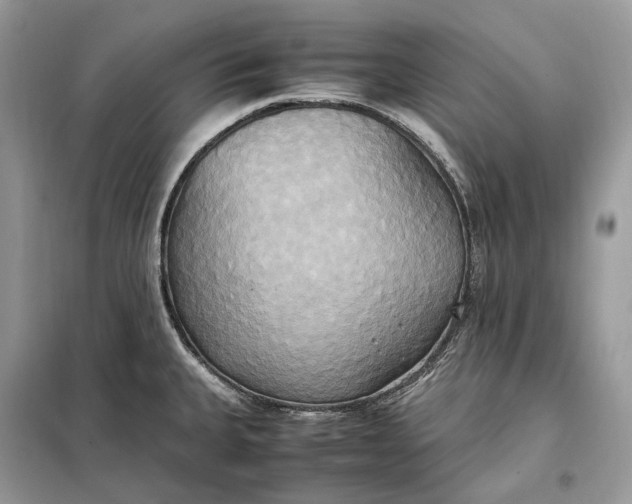 X0000099231335200805081548