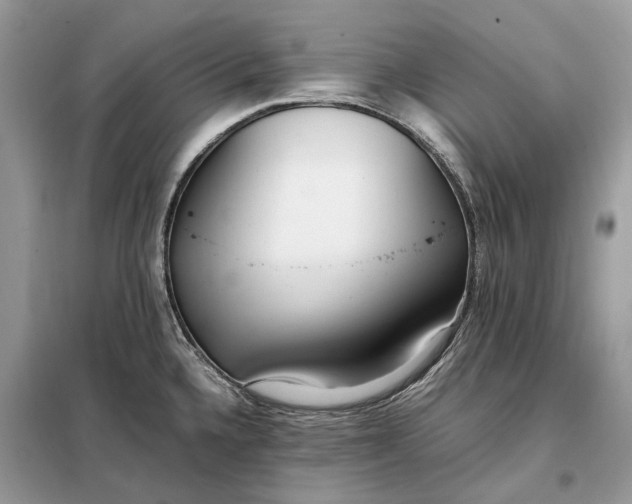 X0000099231336200805081548