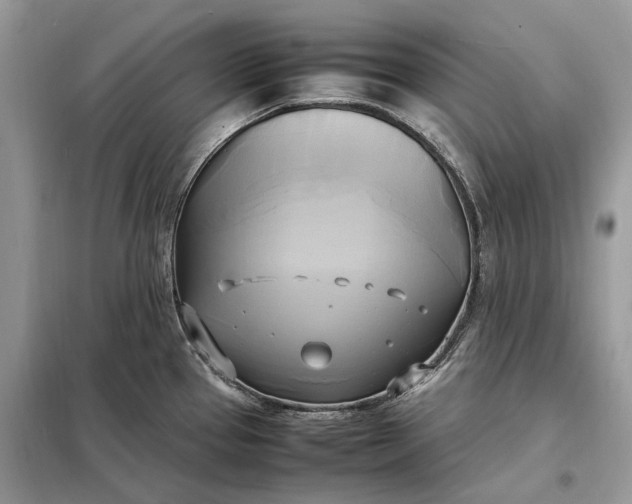 X0000099231337200805081548