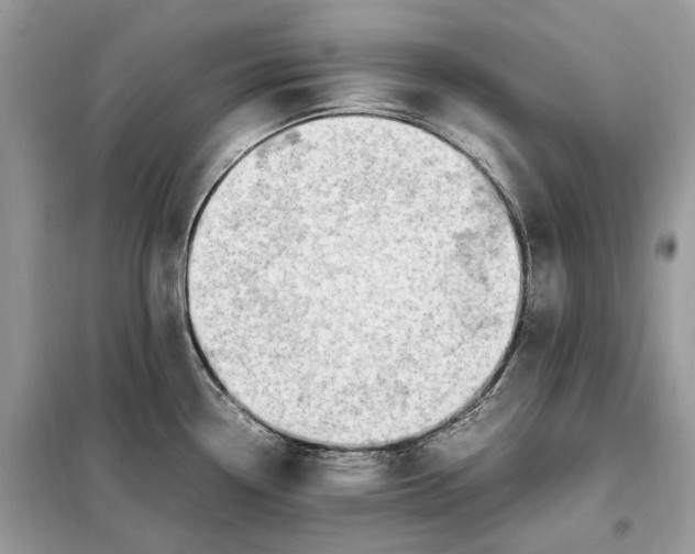 X0000099231338200805081548