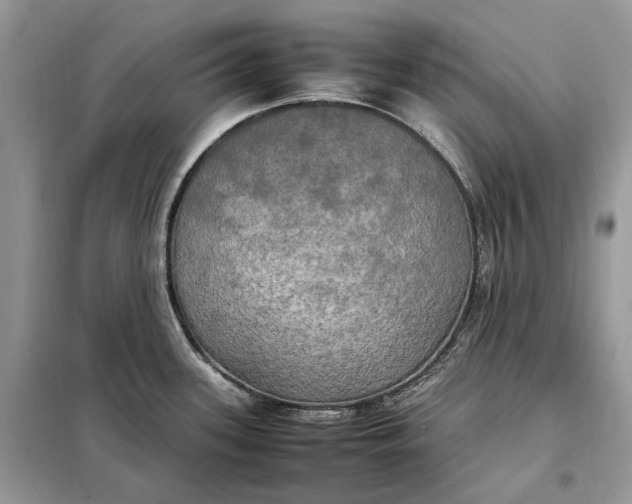 X0000099231339200805081548