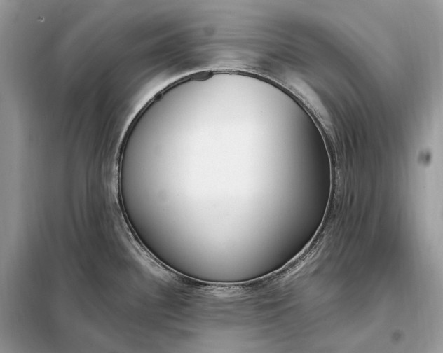 X0000099231340200805081548