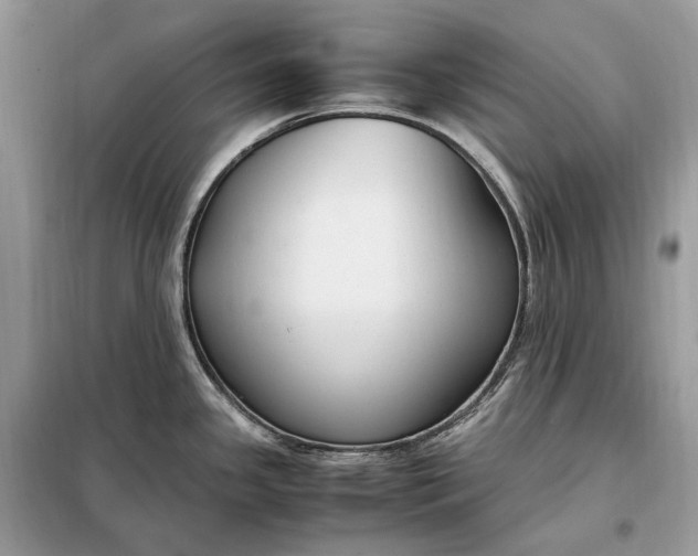 X0000099231341200805081548