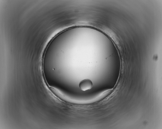 X0000099231342200805081548