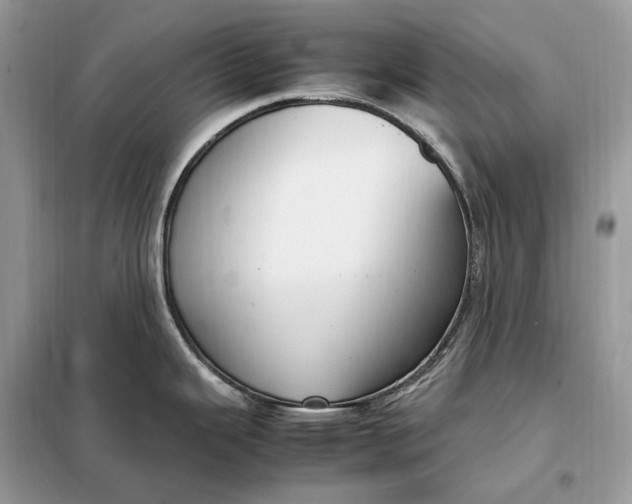 X0000099231343200805081548