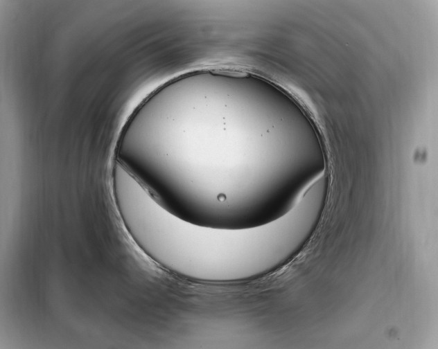 X0000099231344200805081548