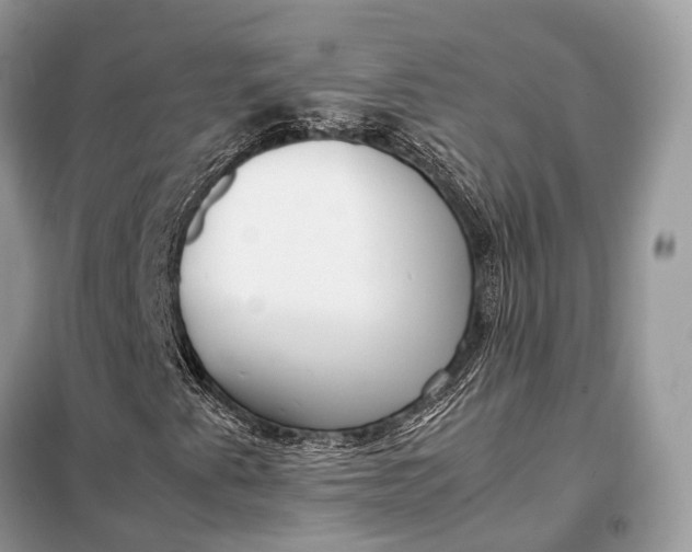 X0000099231345200805081547