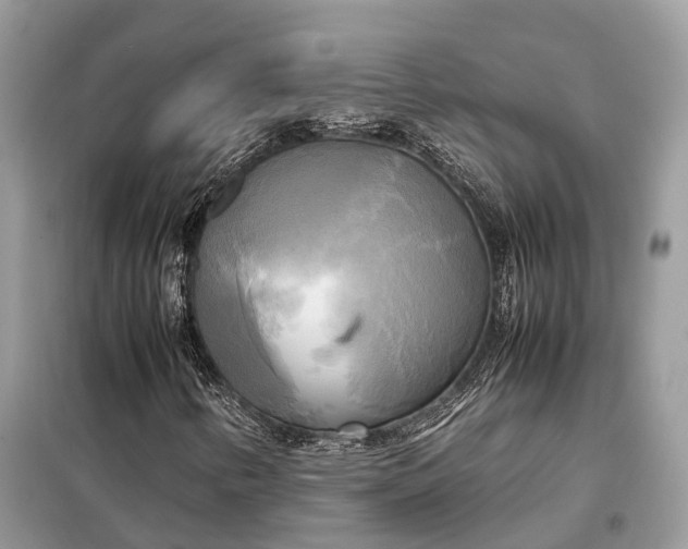 X0000099231346200805081547