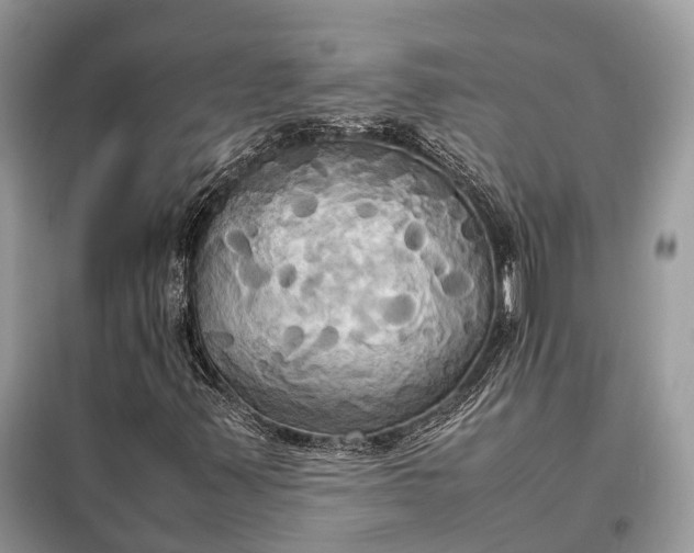 X0000099231347200805081547