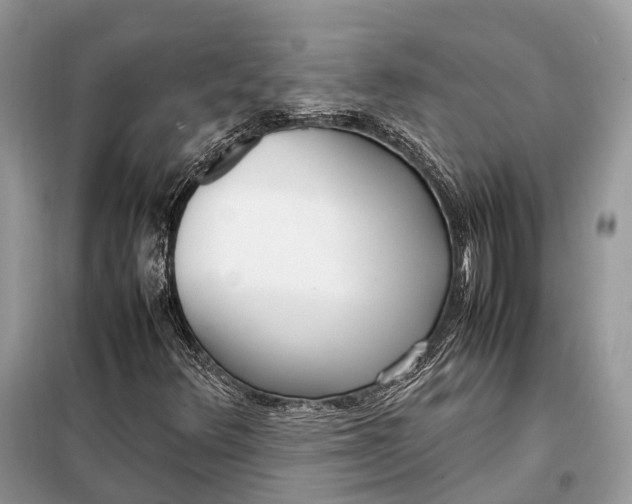 X0000099231348200805081547