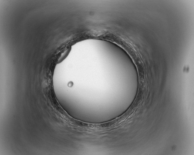 X0000099231349200805081547