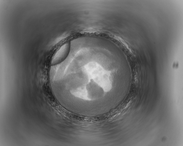 X0000099231350200805081547