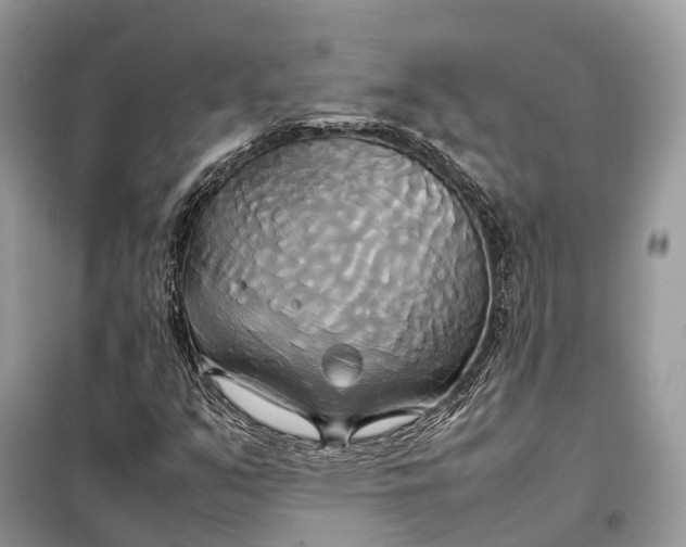 X0000099231351200805081547