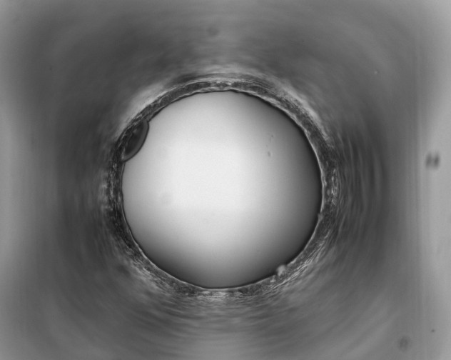 X0000099231352200805081547