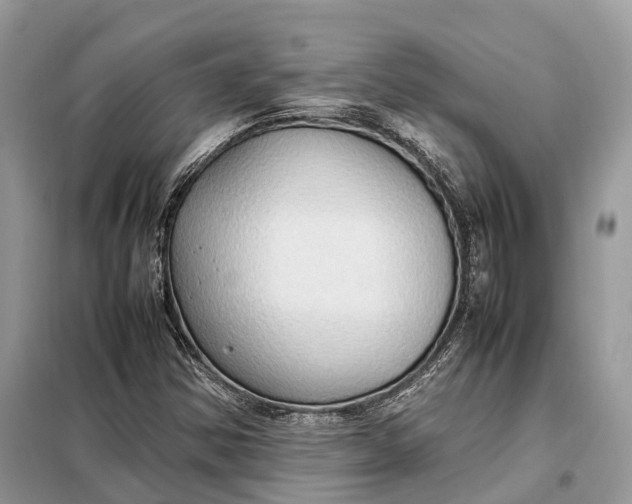 X0000099231354200805081547