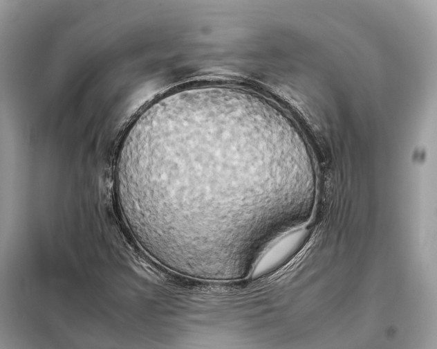 X0000099231355200805081547