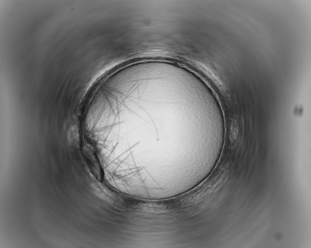 X0000099231356200805081547