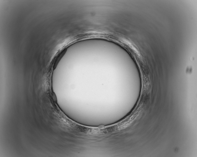 X0000099231357200805081547