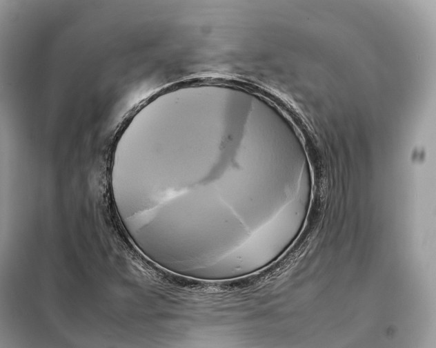 X0000099231359200805081547