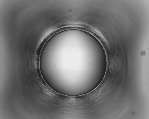 X0000099231360200805081547