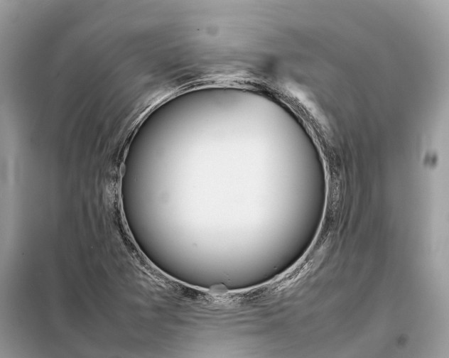 X0000099231361200805081547