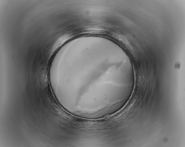 X0000099231362200805081547