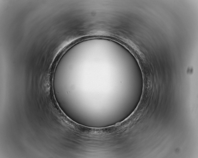 X0000099231364200805081547