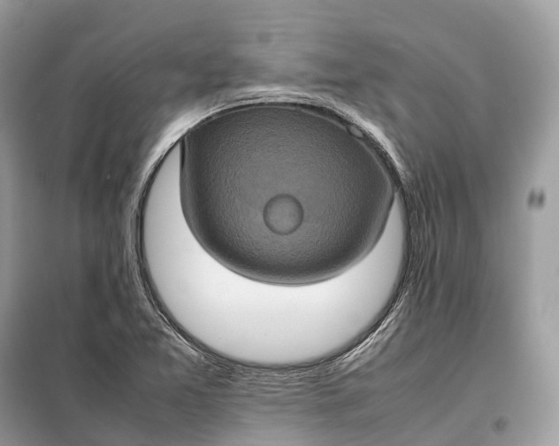 X0000099231365200805081547